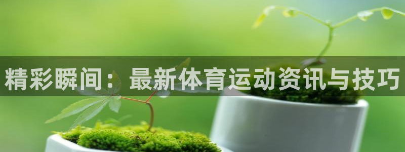 精彩瞬间：最新体育运动资讯与技巧
