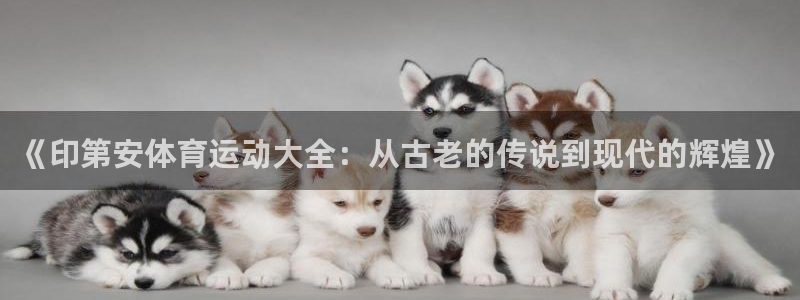 《印第安体育运动大全：从古老的传说到现代的辉煌》