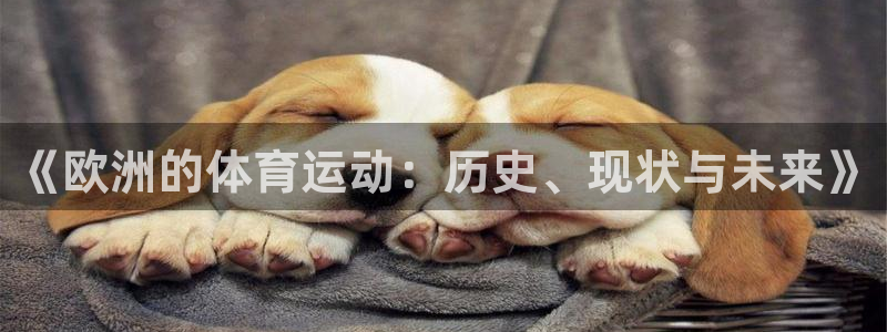 《欧洲的体育运动：历史、现状与未来》