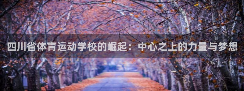 四川省体育运动学校的崛起：中心之上的力量与梦想