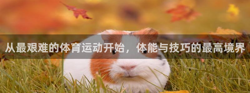 从最艰难的体育运动开始，体能与技巧的最高境界