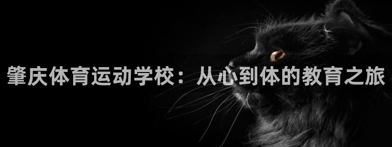 肇庆体育运动学校：从心到体的教育之旅