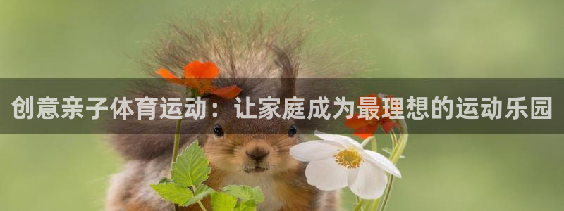 创意亲子体育运动：让家庭成为最理想的运动乐园