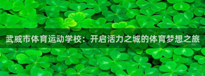 武威市体育运动学校：开启活力之城的体育梦想之旅