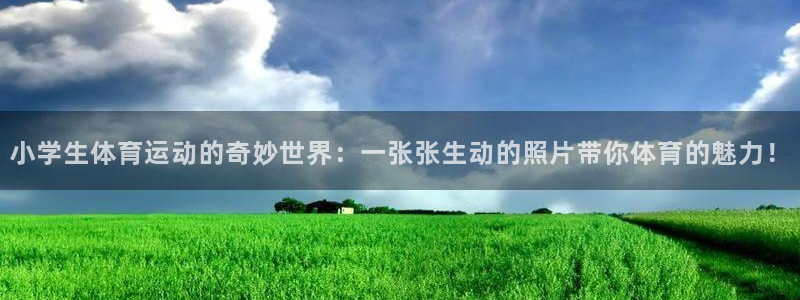 小学生体育运动的奇妙世界：一张张生动的照片带你体育的魅力！