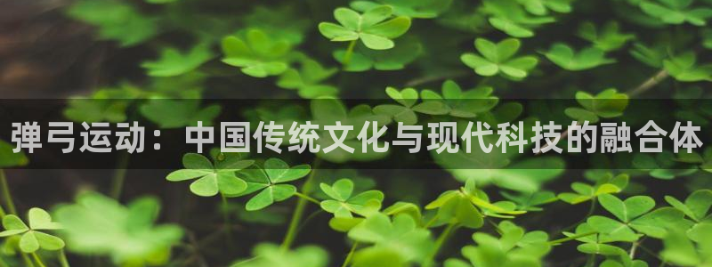 弹弓运动：中国传统文化与现代科技的融合体