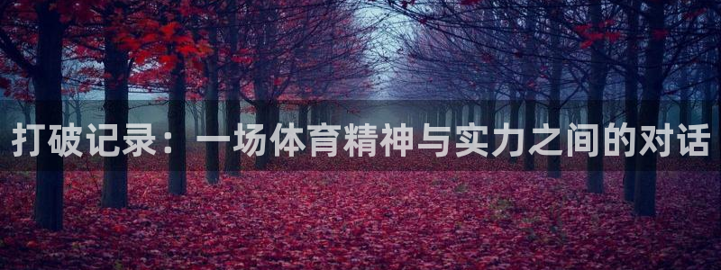打破记录：一场体育精神与实力之间的对话
