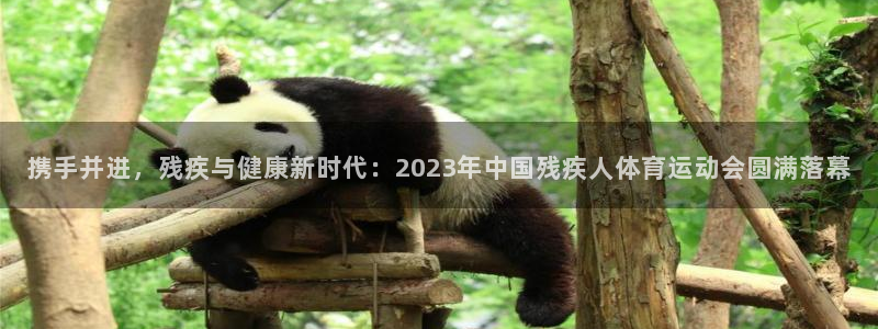 携手并进，残疾与健康新时代：2023年中国残疾人体育运动会圆满落幕